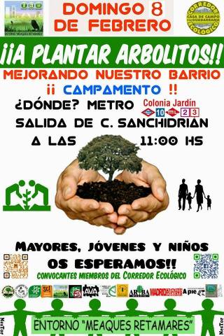 A plantar árboles 8 de febrero Corredor ecológico campamento